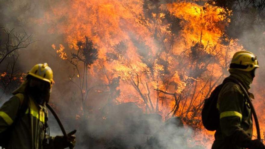 Agentes forestales tratan de controlar el fuego.