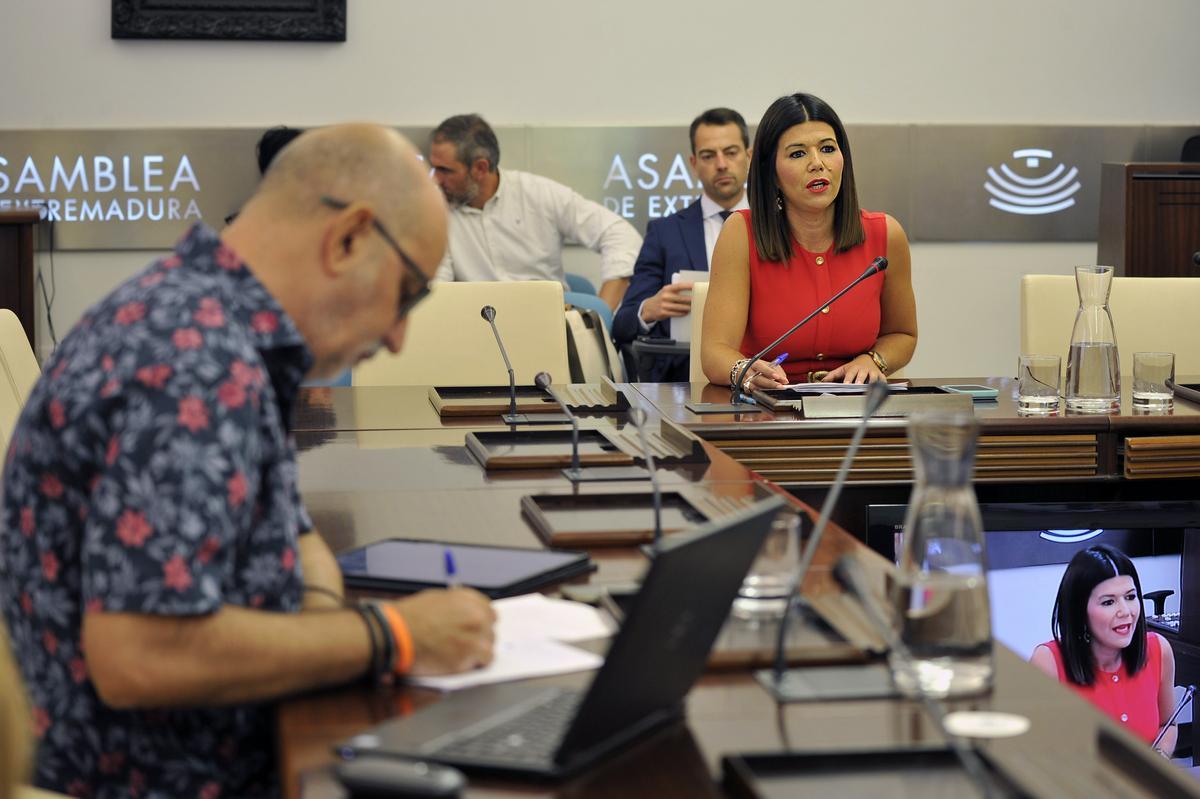 La directora gerente del SES, Encarna Solís, comparece en la Comisión de Salud de la Asamblea de Extremadura.