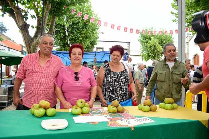 Fiesta de la manzana de Valleseco