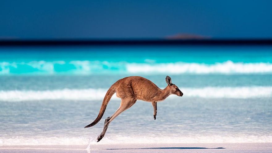 playa australia