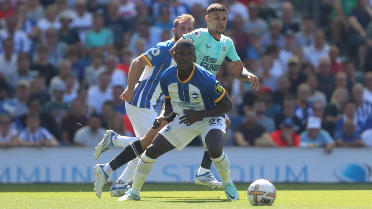 Moisés Caicedo, objetivo de Arsenal y United | @OfficialBHAFC