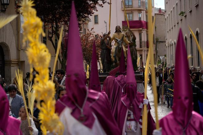 La Procesión de La Borriquita en Zamora, en imágenes