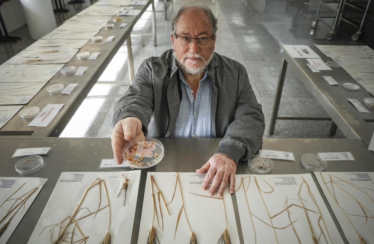 Segundo Ríos, director del jardín botánico y estación biolçogoca Torretes de la Universidad de Alicante.