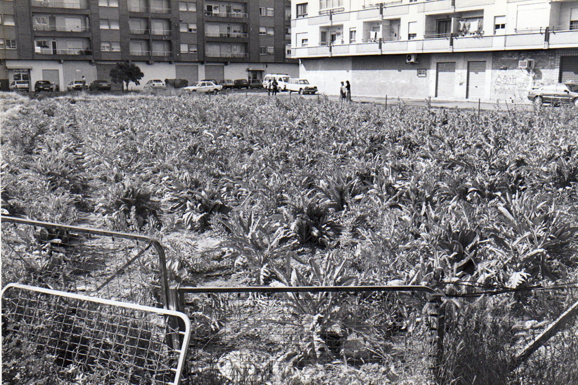 Fotos de la València desaparecida: El Campanar de los 80