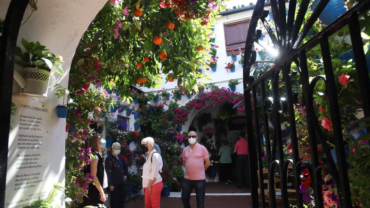 Patios de Otoño en Córdoba. Tinte 9.