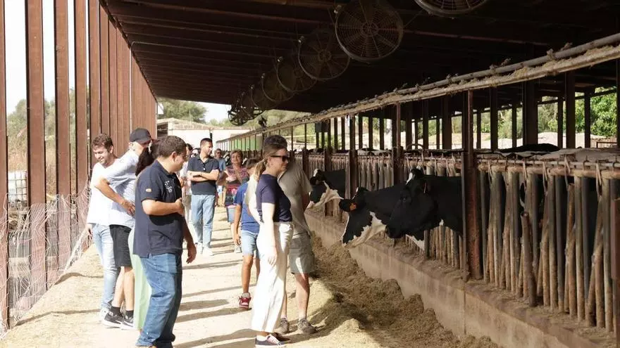 VÍDEO | Damm comunica el cierre de Agama este 2026 a los trabajadores