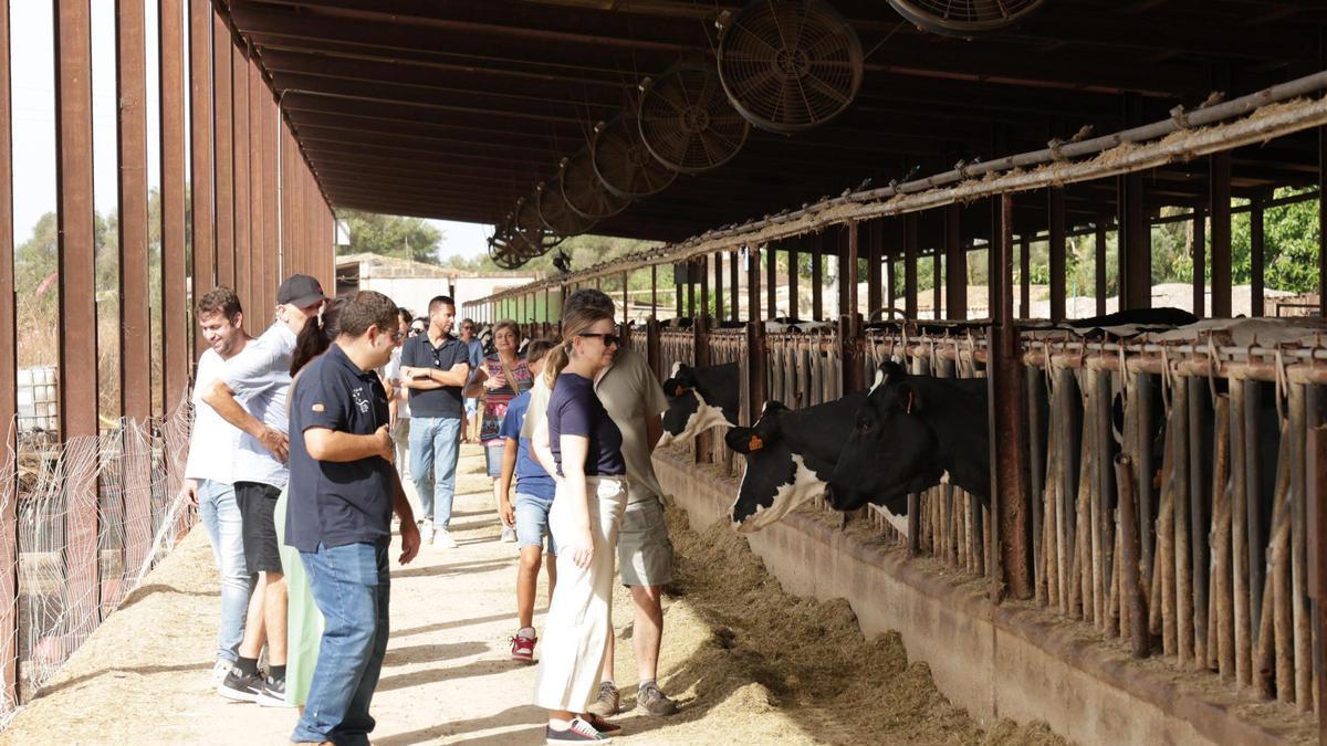 CIERRe AGAMA MALLORCA | Los trabajadores de Agama podrán ser recolocados en otras empresas del Grupo Damm o recibir una mayor indemnización