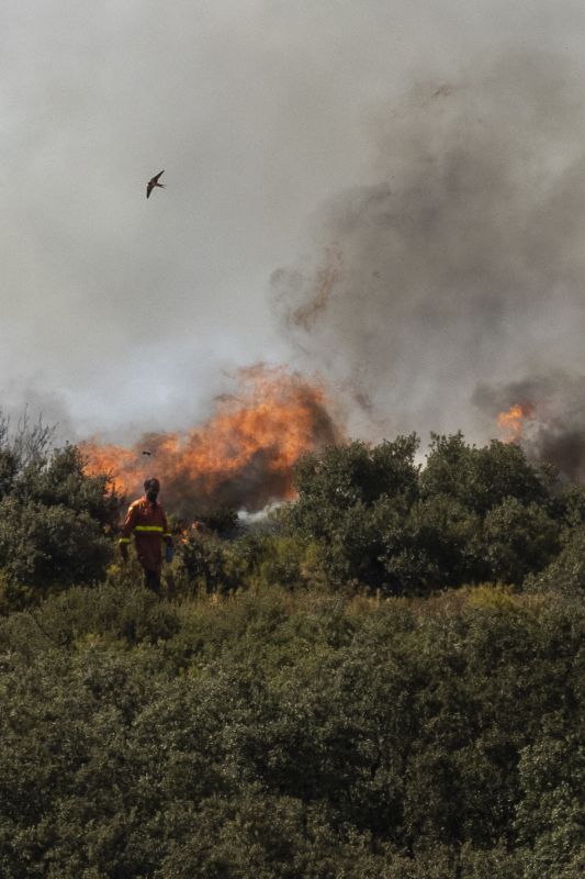 El incendio de Bejís, en imágenes