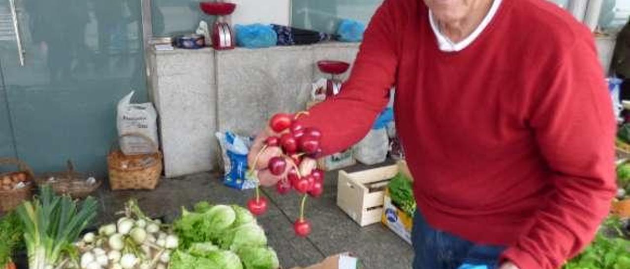 Amador Molleda, con un puñado de cerezas, ayer.