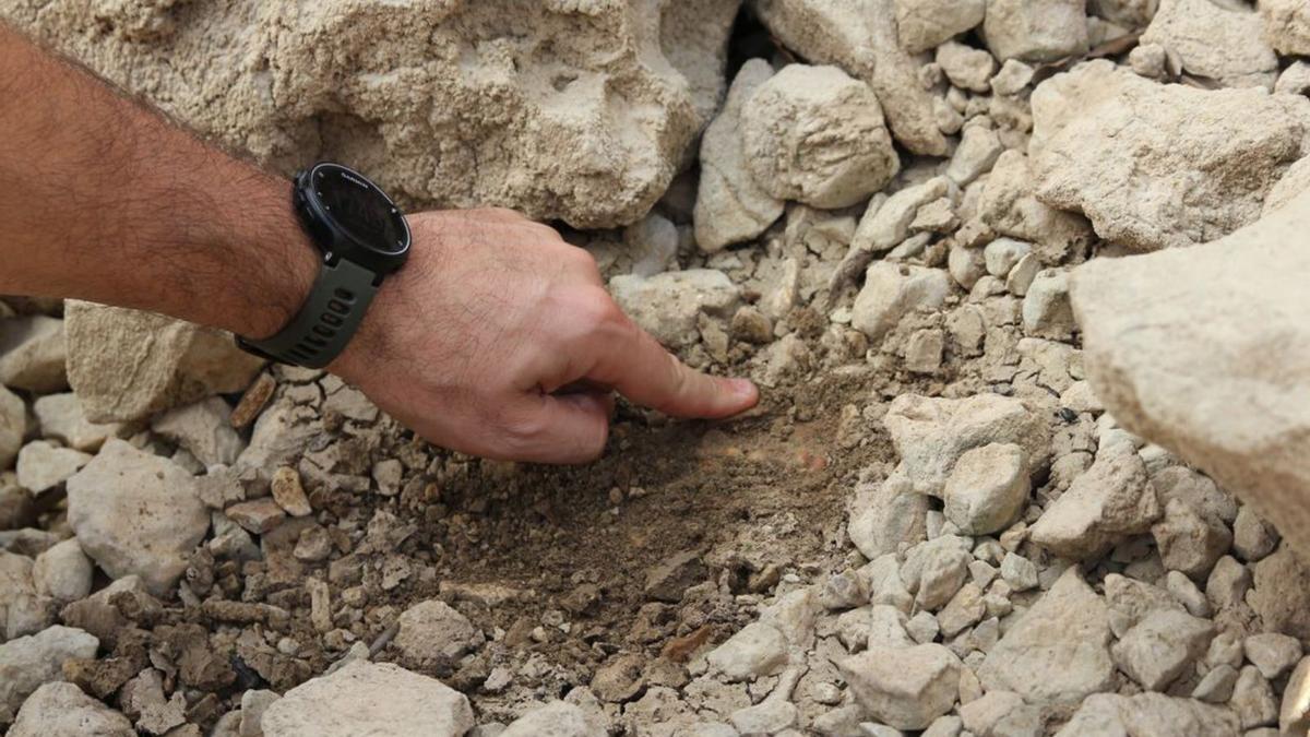 Der Archäologe deutet auf ein menschliches Gebiss unter den Steinen.  | FOTO: FELDMEIER