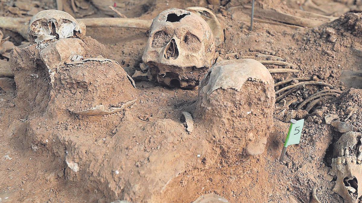 Cráneos hallados en la fosa en proceso de excavación. Uno de ellos está perforado por un tiro de pistola.