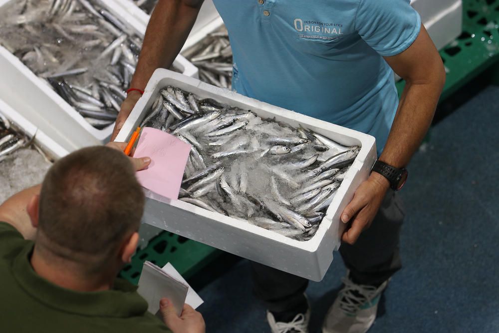 Así es un día de trabajo en la pescadería de Mercamálaga