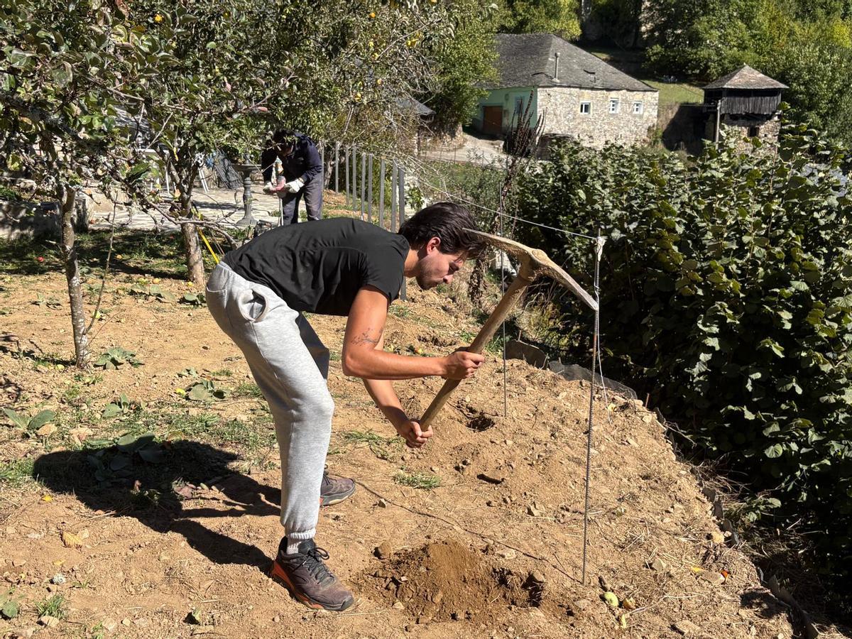 Bleid Dorta ayuda en la instalación de unas vallas en el jardín.