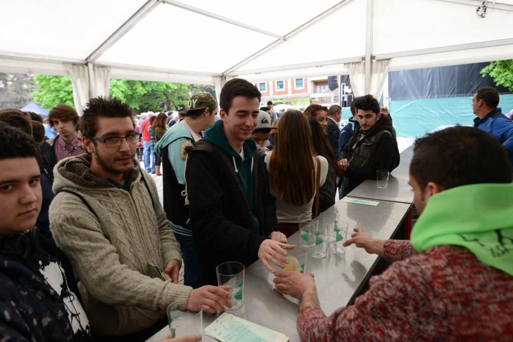 Folixa na Primavera de Mieres