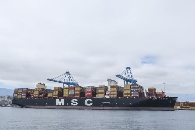 MSC Allegra en la terminal de Opcsa