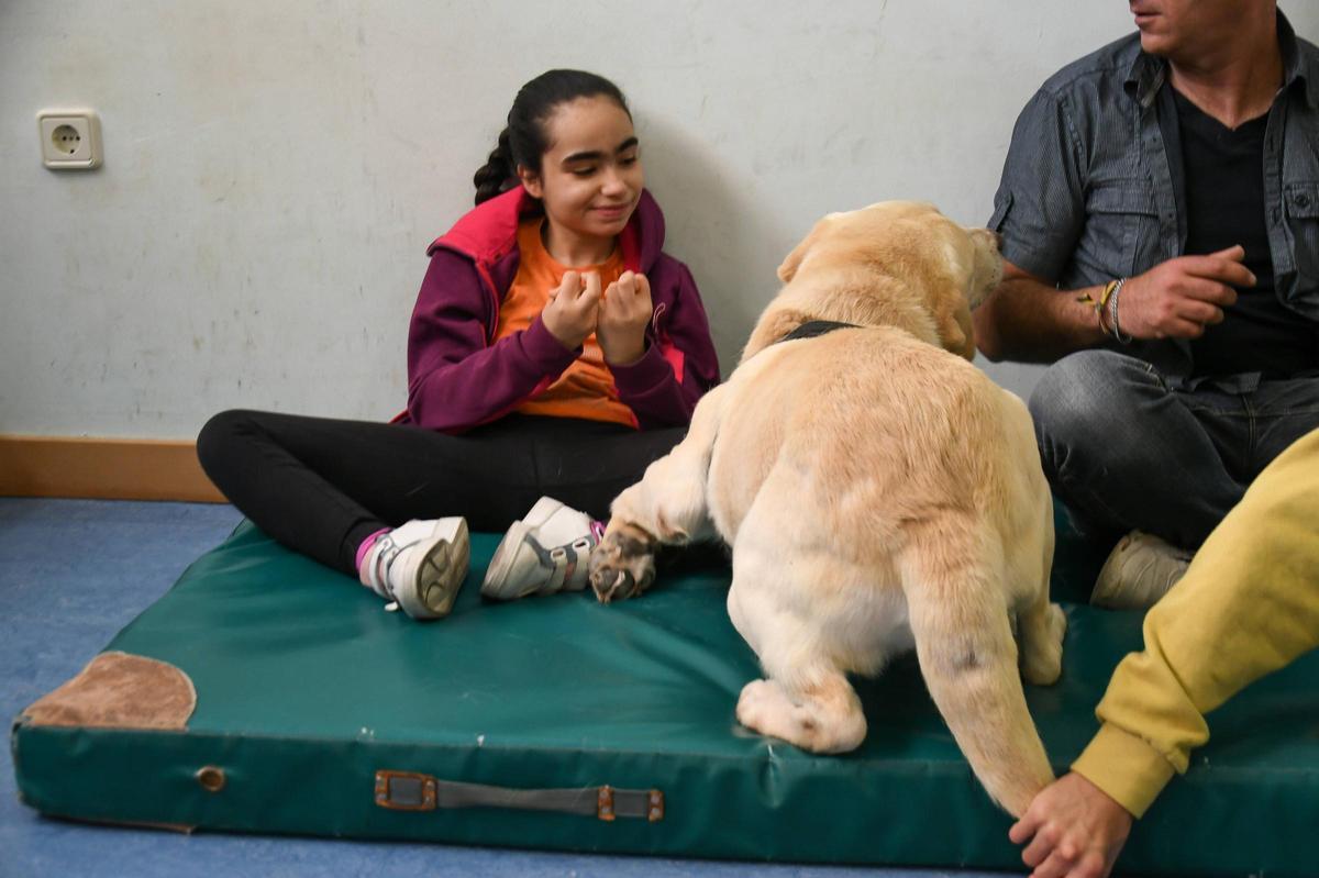 Terapia con perros en el colegio Virgen del Castillo de Zamora