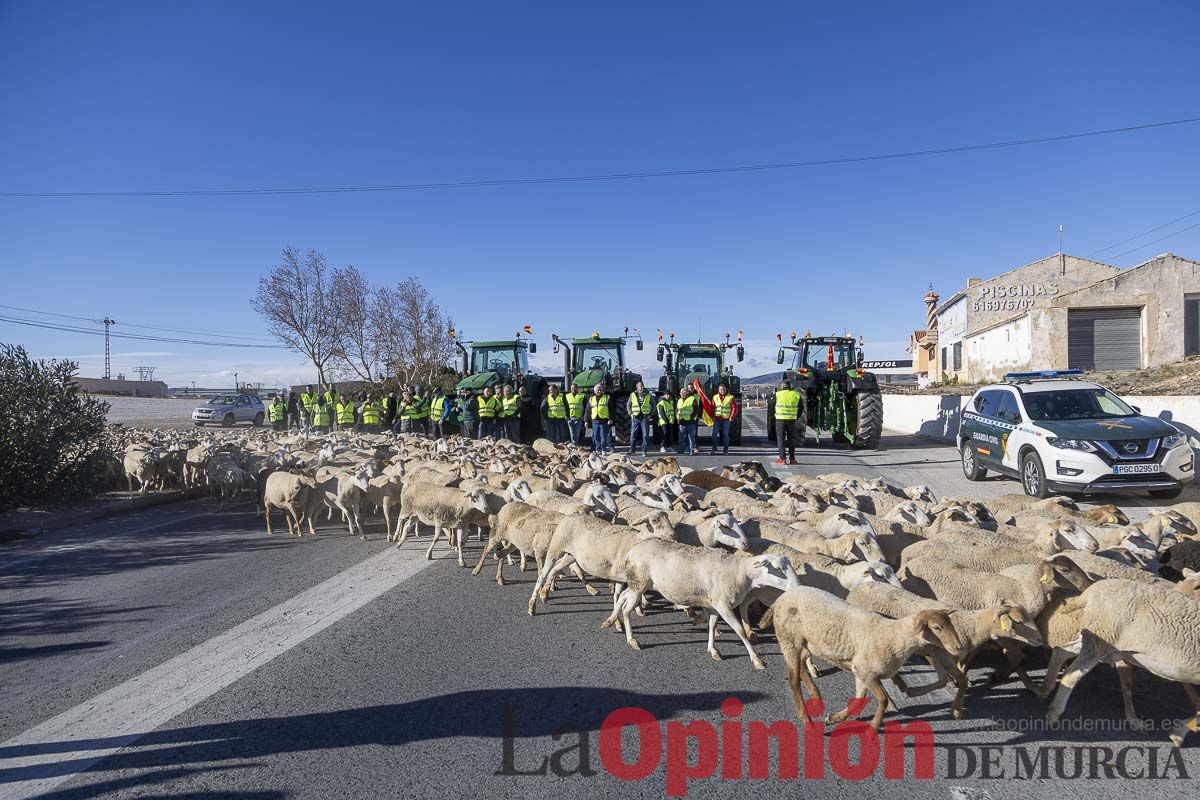 Manifestaciones de agricultores en Caravaca