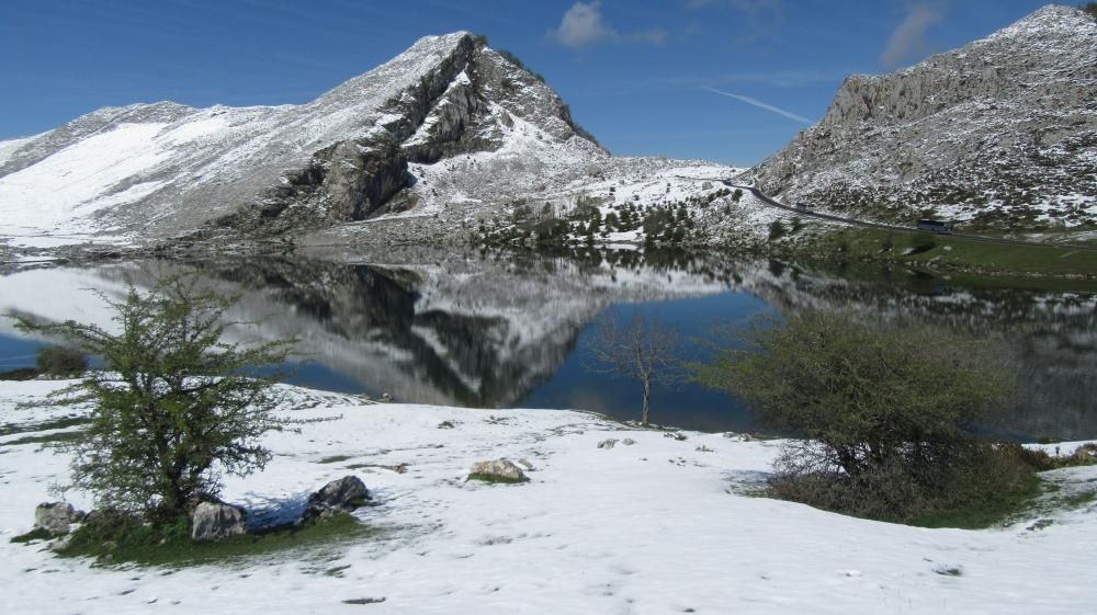 Las 40 fotos que te harán echar de menos el invierno (y la nieve) en Asturias