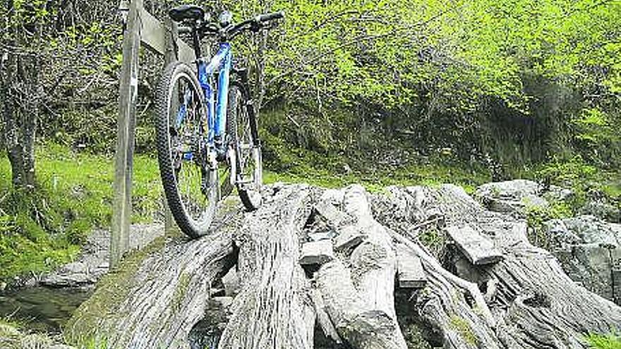 Una bicicleta sobre unos troncos en la ruta.