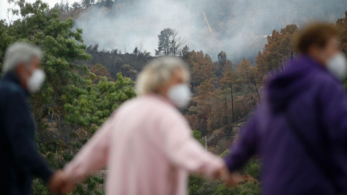 El Rosario’s Advanced Forest Fire Emergency Response Plan Implements Stringent Sanctions for Non-Compliance