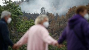Els incendis van cremar a Galícia la meitat de la fusta que es tala cada any