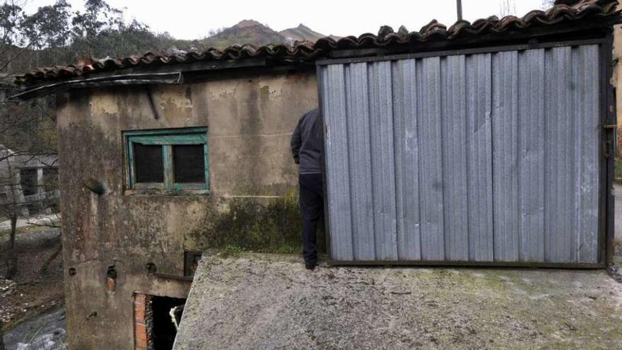 Javier García entra en el secadero por el hueco que abrieron los ladrones.