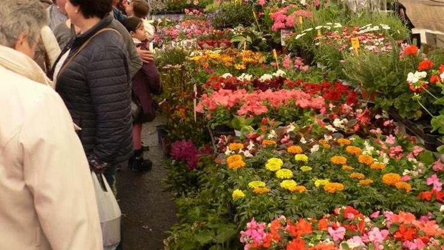 Una veintena de artesanos, en la XXIX Festa das Flores de Vilarmaior