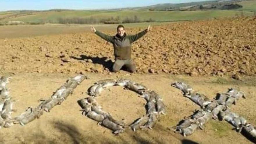 Un cazador escribe &#039;Vox&#039; con 58 conejos muertos e indigna a los animalistas