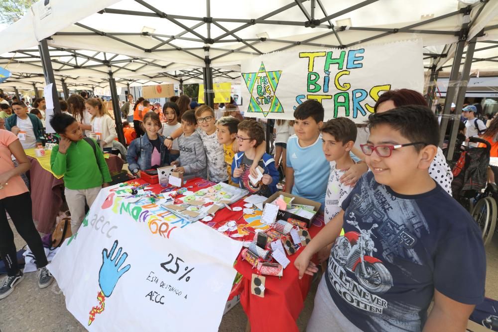 Doce centros educativos de Ibiza y Formentera mostraron ayer sus proyectos en una actividad impulsada por el IDI, en apoyo al emprendimiento juvenil