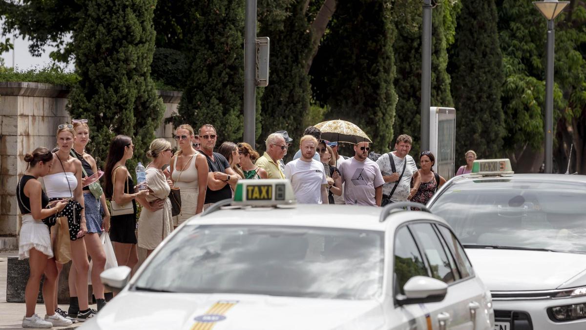 Cola de turistas en una parada de taxis en Palma el pasado verano.