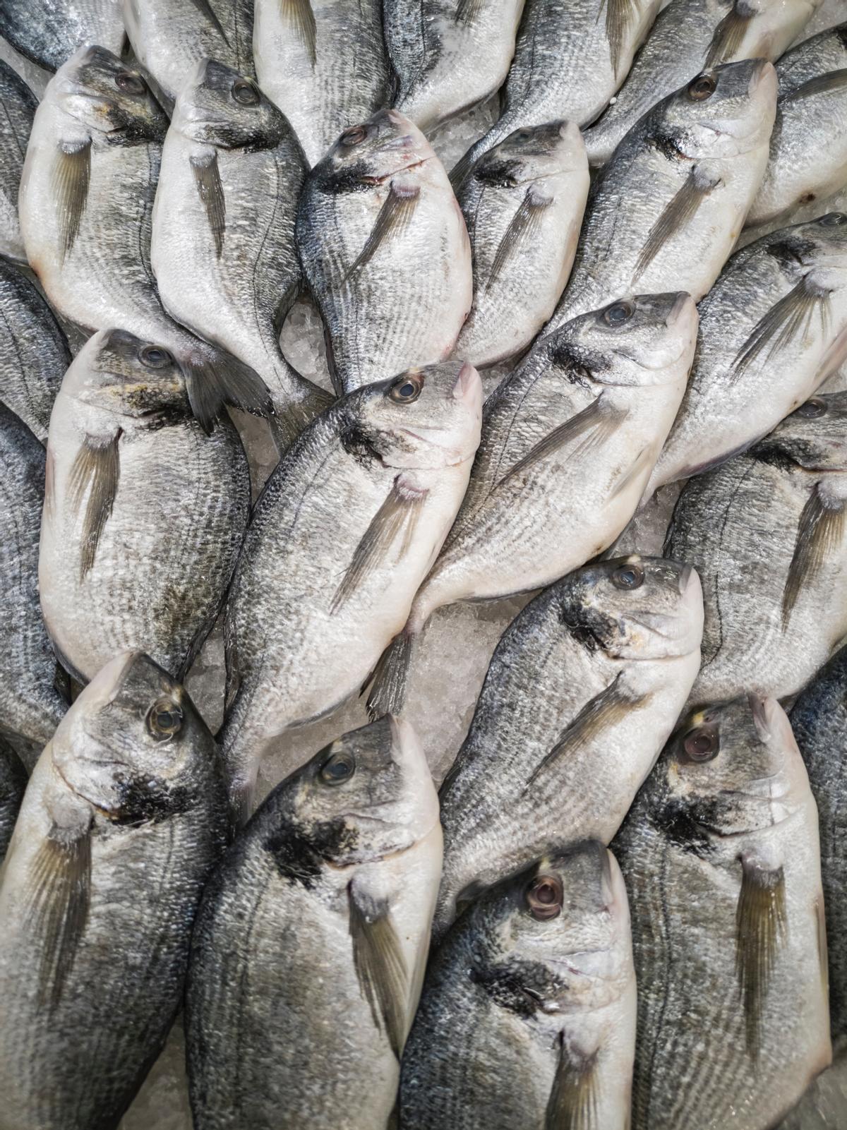 Se debe comer pescado tres días a la semana