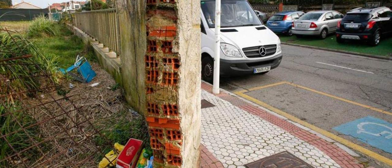 Basura acumulada junto al paseo de Salinas.