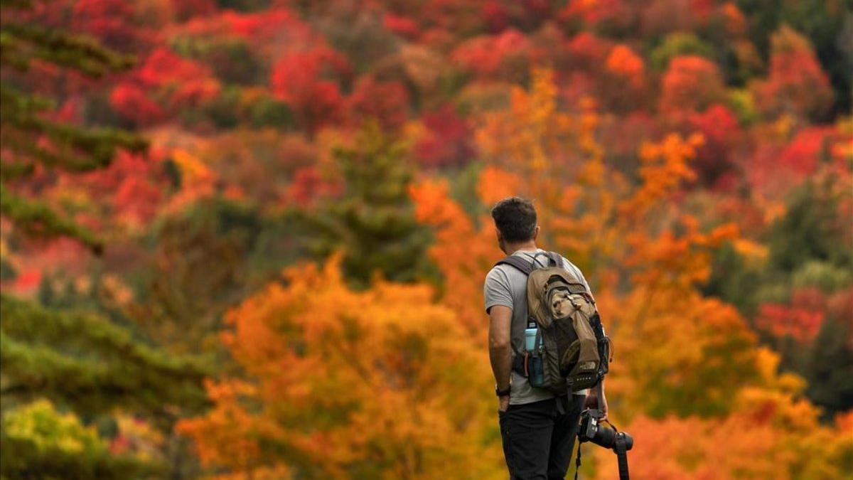 Cuándo empieza el otoño 2023 en Estados Unidos y qué pasa en el