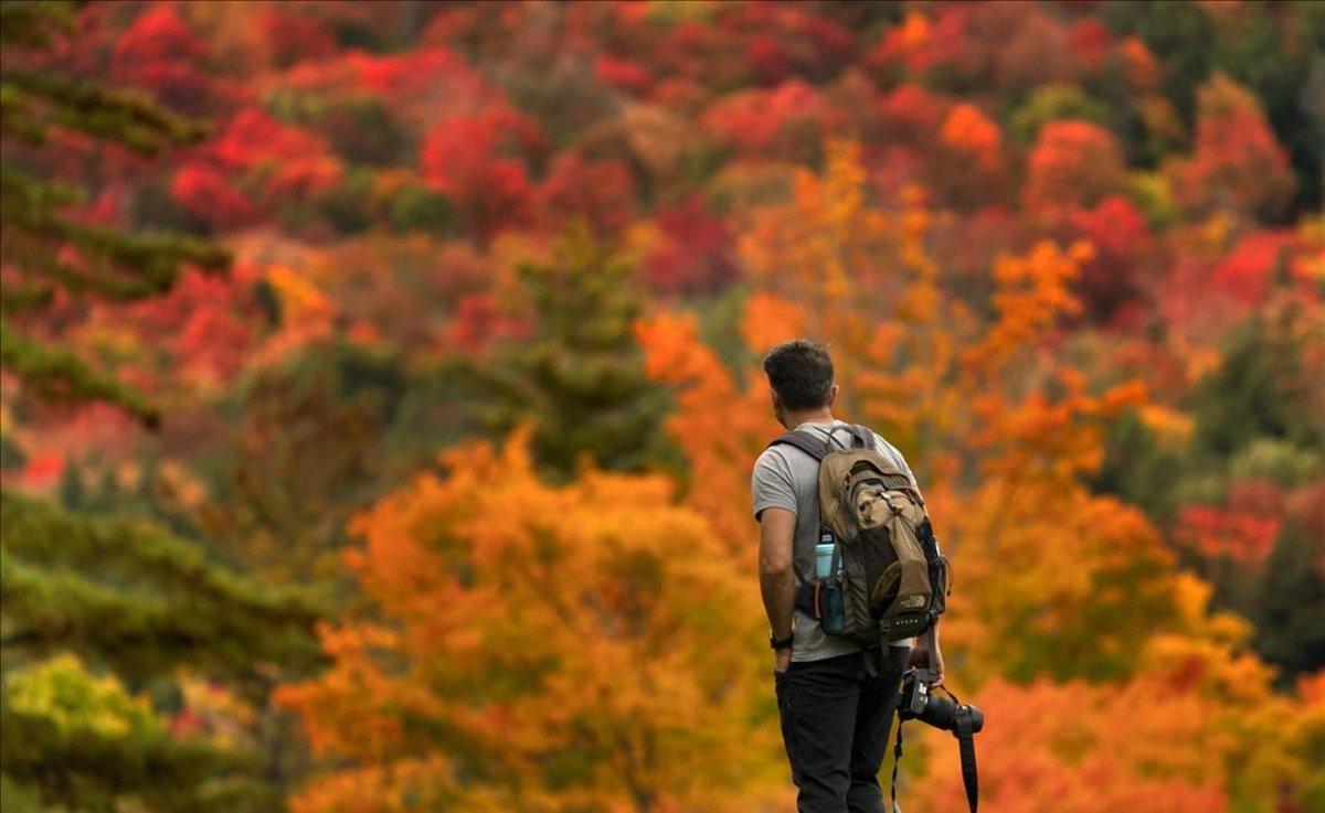 Un excursionista, en un bosque en pleno otoño.