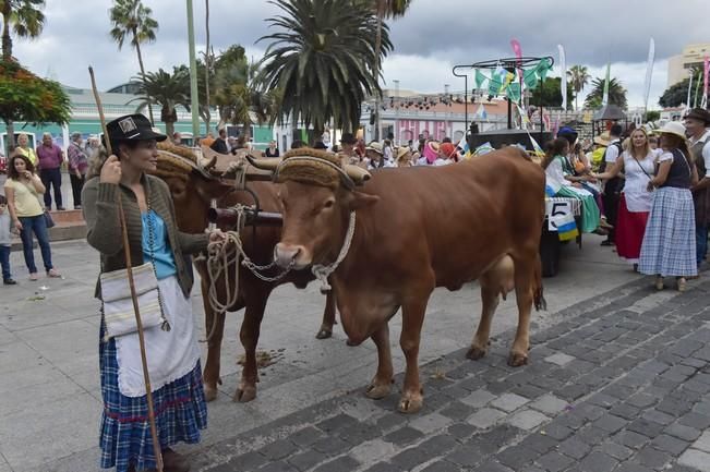 Romería de la Naval, desde el parque Santa ...