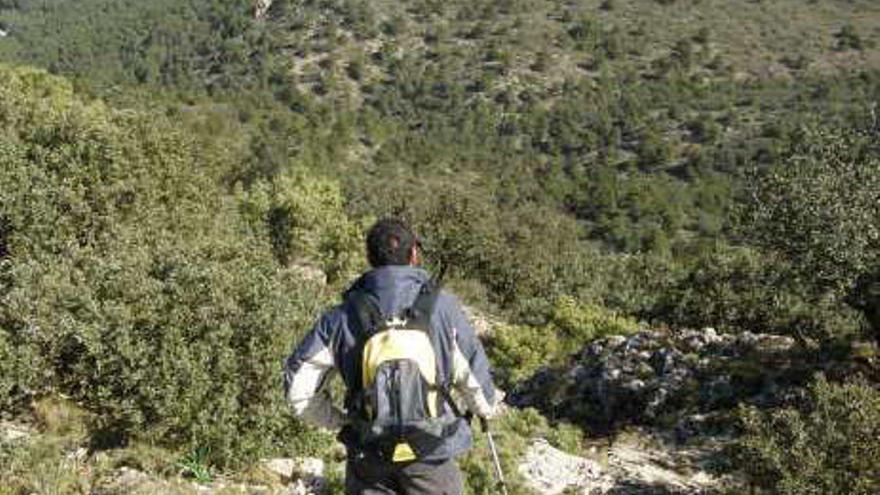 Los ecologistas se oponen a la carrera en la Sierra Salinas por su impacto ecológico