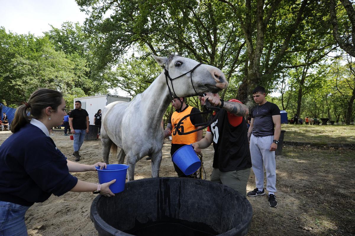 A ESTRADA. RAID HIPICO SALMON