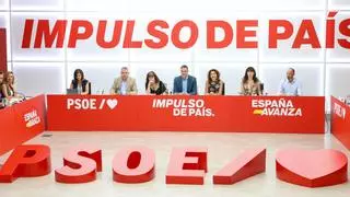 El PSOE apostará por el "Estado federal" como evolución del estado de las autonomías en el congreso del partido adelantado por Sánchez