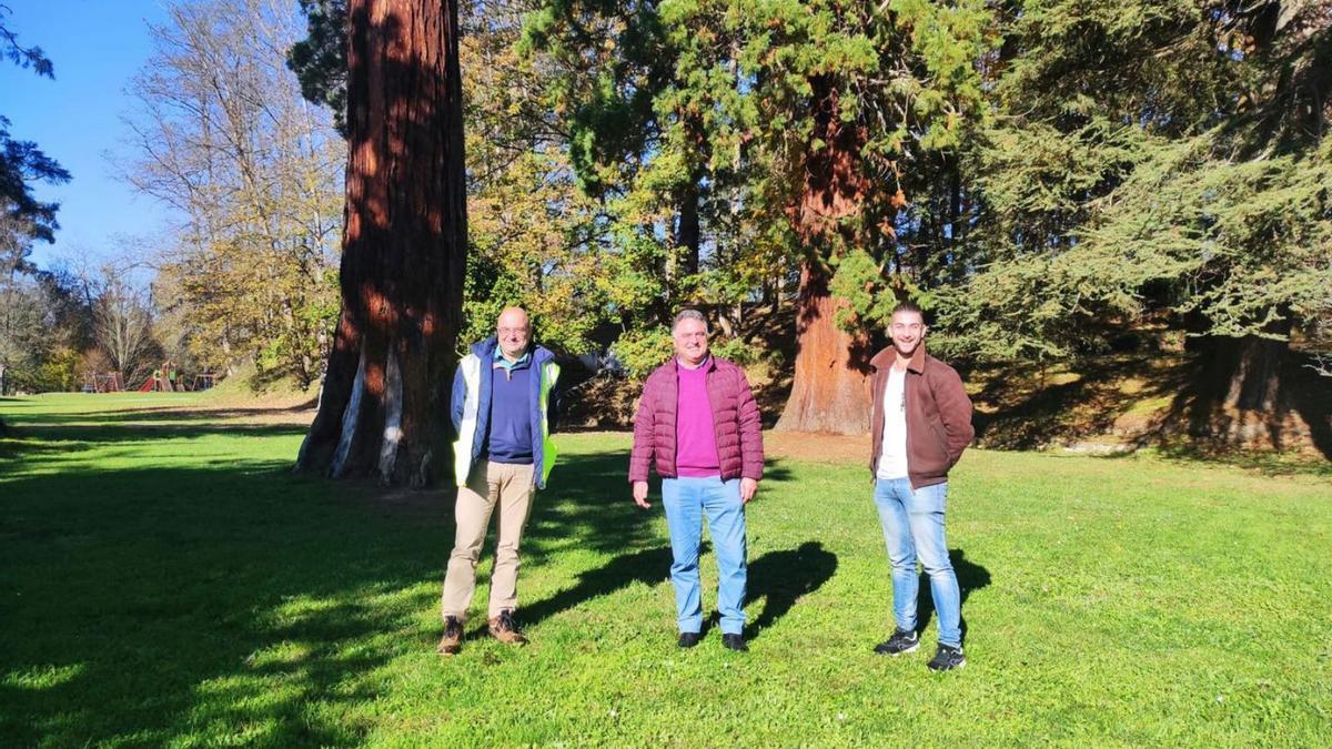 Por la izquierda, el técnico municipal José Antonio Martínez y los ediles Alejandro Villa y Tarik Vázquez, ayer, en el bosque de La Cebera, en Lugones. | A. I.