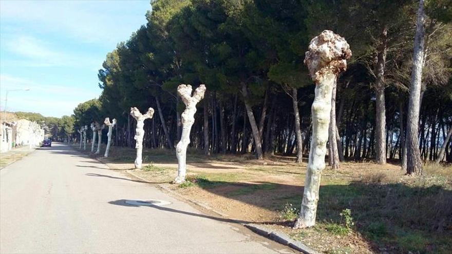 El ayuntamiento impulsa la construcción de viviendas protegidas