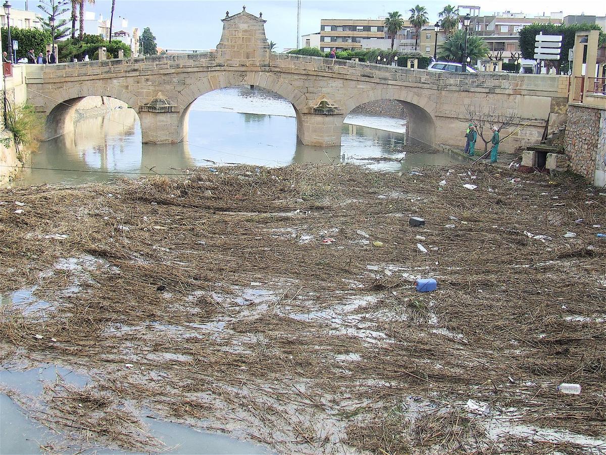 Bardomeras formadas por el arrastre de cañas tras una crecida del río en tramo urbano de Rojales. Las cañas reducen la capacidad de desagüe y cuando son arrastradas, también en los puentes