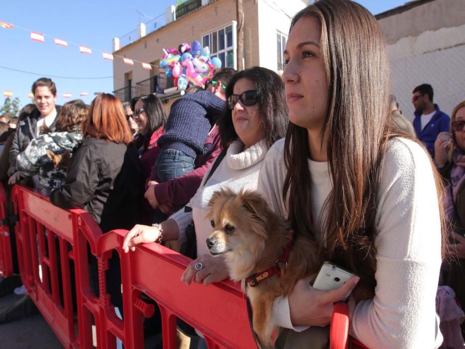 Los vecinos de Cartagena se han acercado junto a sus mascotas a recibir la bendición