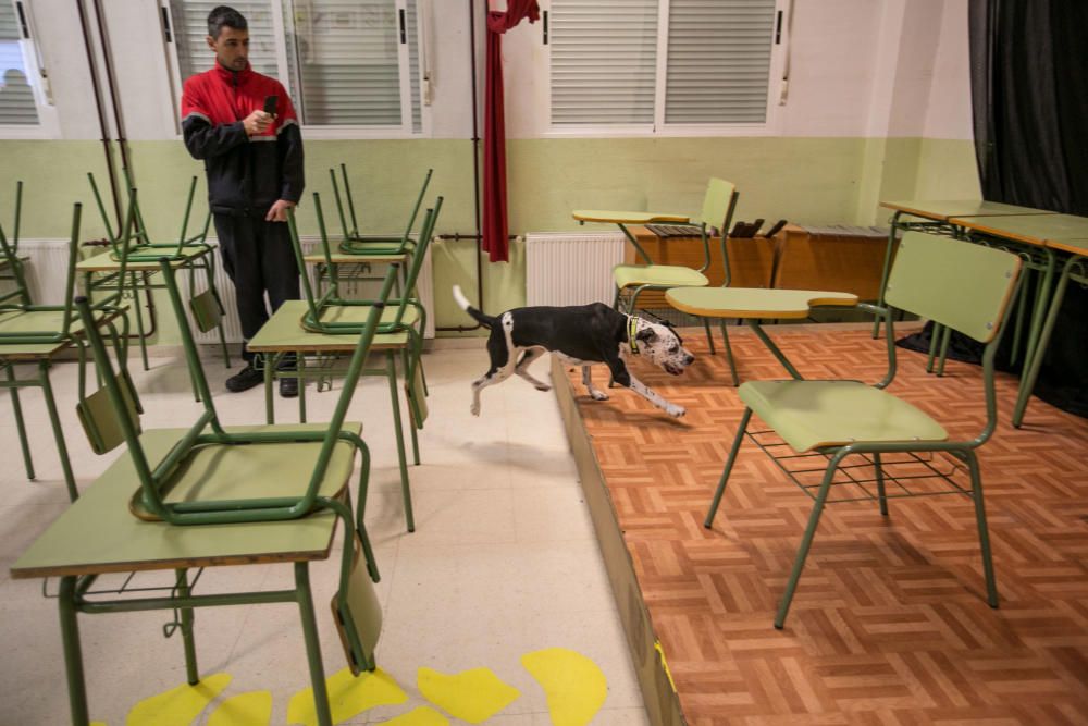 Simulacro de terremoto en el colegio Luis Vives