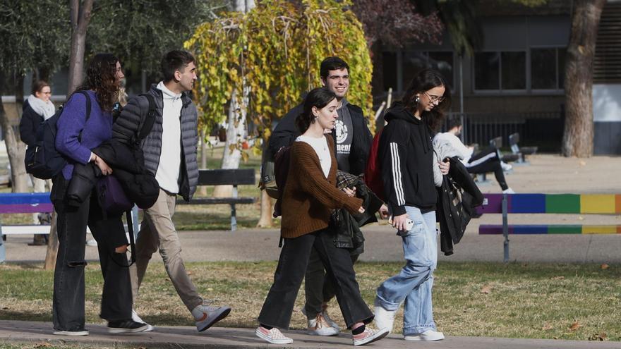 ¿Para qué usan los universitarios la IA?: &quot;Te da las ideas claras, pero luego el trabajo es tuyo&quot;