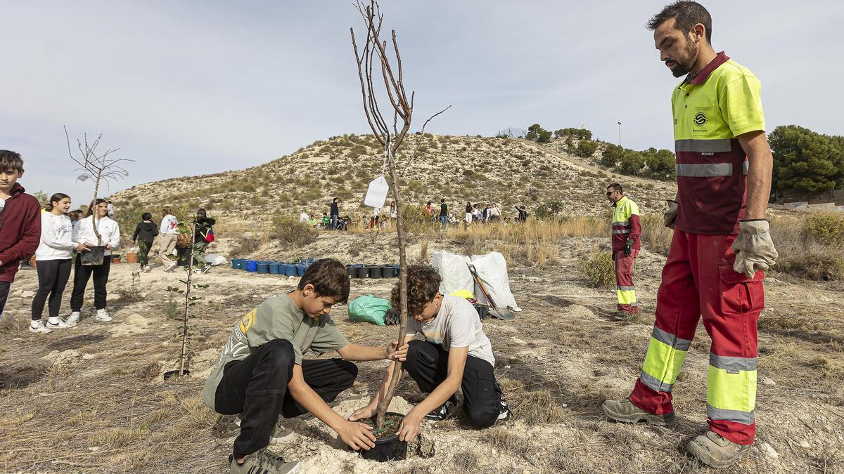 Alumnos de Salesianos Don Bosco plantan 80 árboles dentro de su proyecto "Bosque contra el cambio climático"