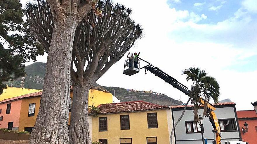 Equipamiento que se emplea en el lavado de los drgaos.