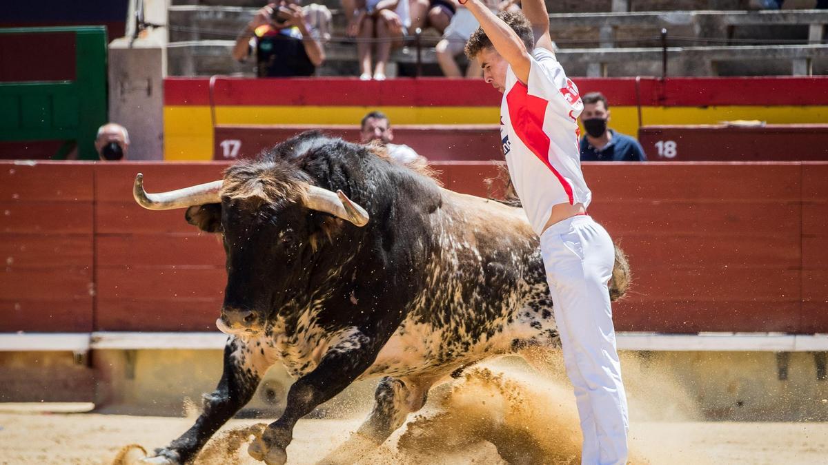 Lucas Fernández arriesgó al quiebro con el sardo de Domingo Hernández y se llevó el título de campeón del Concurso Nacional de Recortadores.