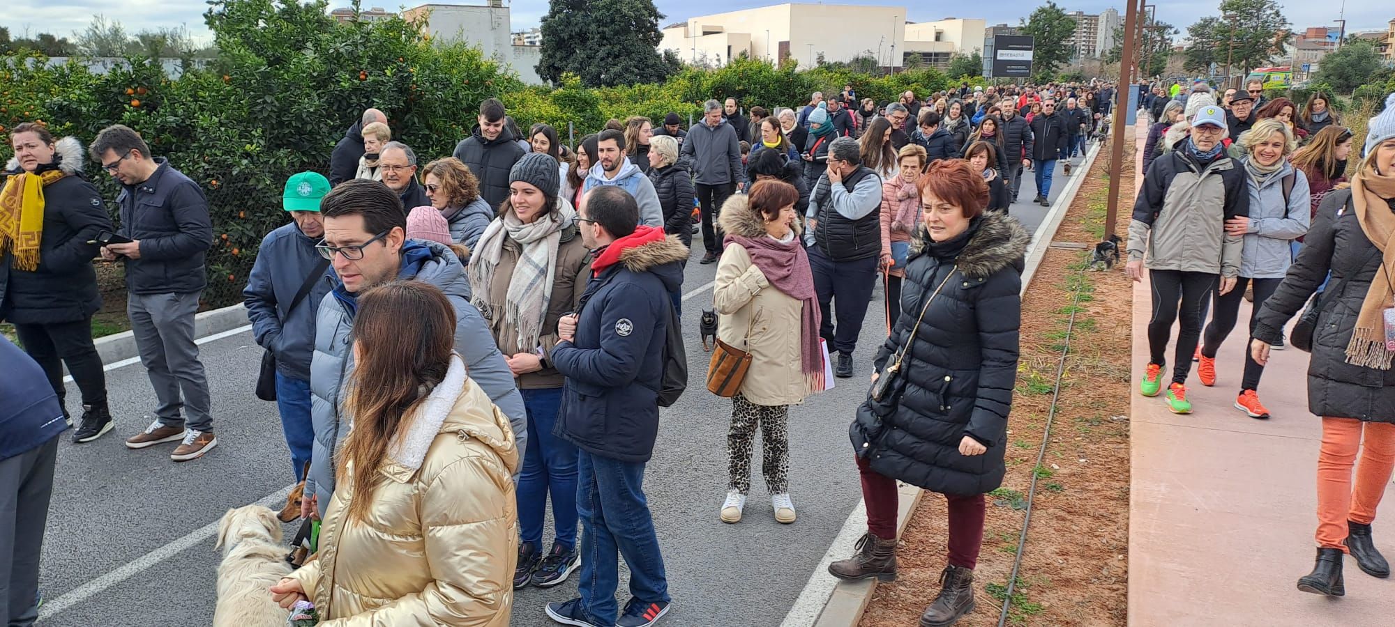 Galería de fotos: Castelló se vuelca con la procesión de Sant Antoni a la Mare de Déu del Lledó