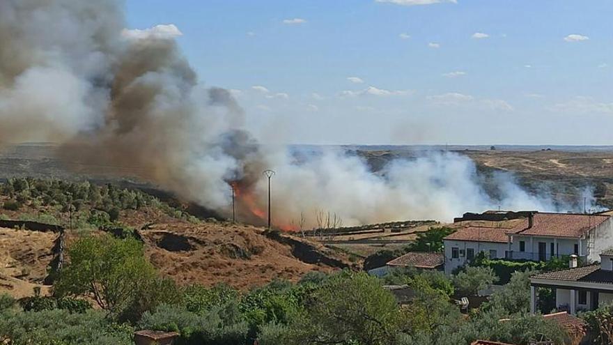 Declaran el nivel 1 de peligrosidad en un incendio forestal en Cañaveral