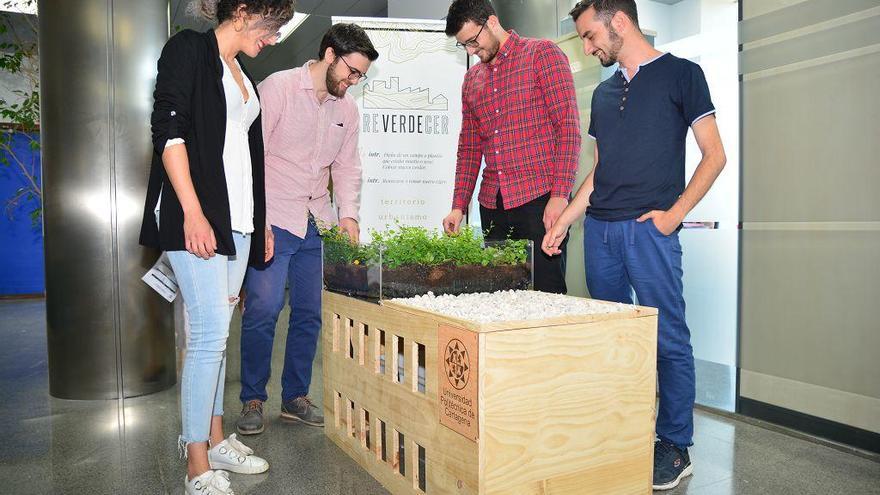 Cuatro arquitectos por la UPCT crean una empresa de cubiertas vegetales e infraestructuras verdes